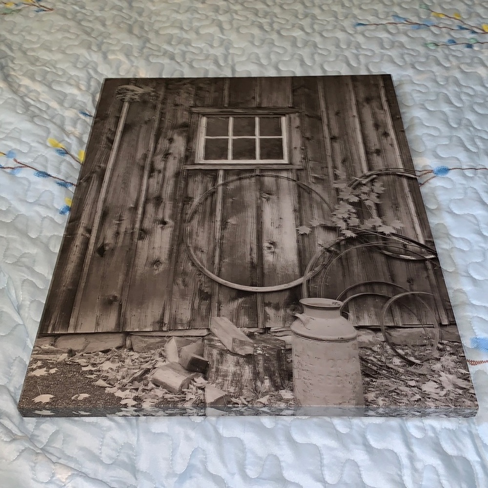 Home Decor picture -like new